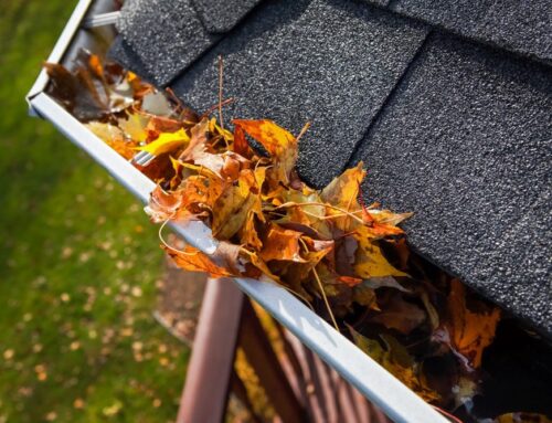 Why Oakville Homeowners Trust Professional Eavestrough Cleaning Year-Round