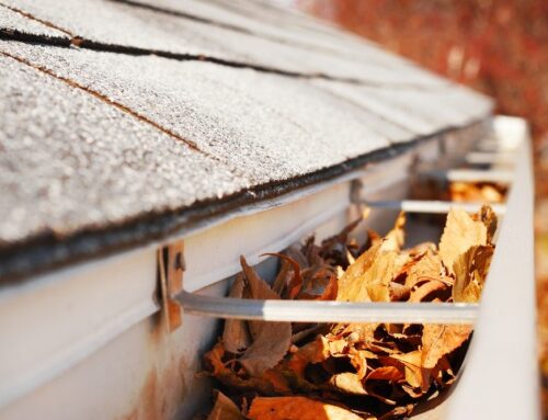 The Complete Guide to Spring Exterior Home Maintenance
