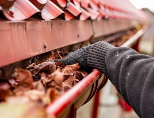 6 Signs Your Gutters Need Cleaning in Mississauga