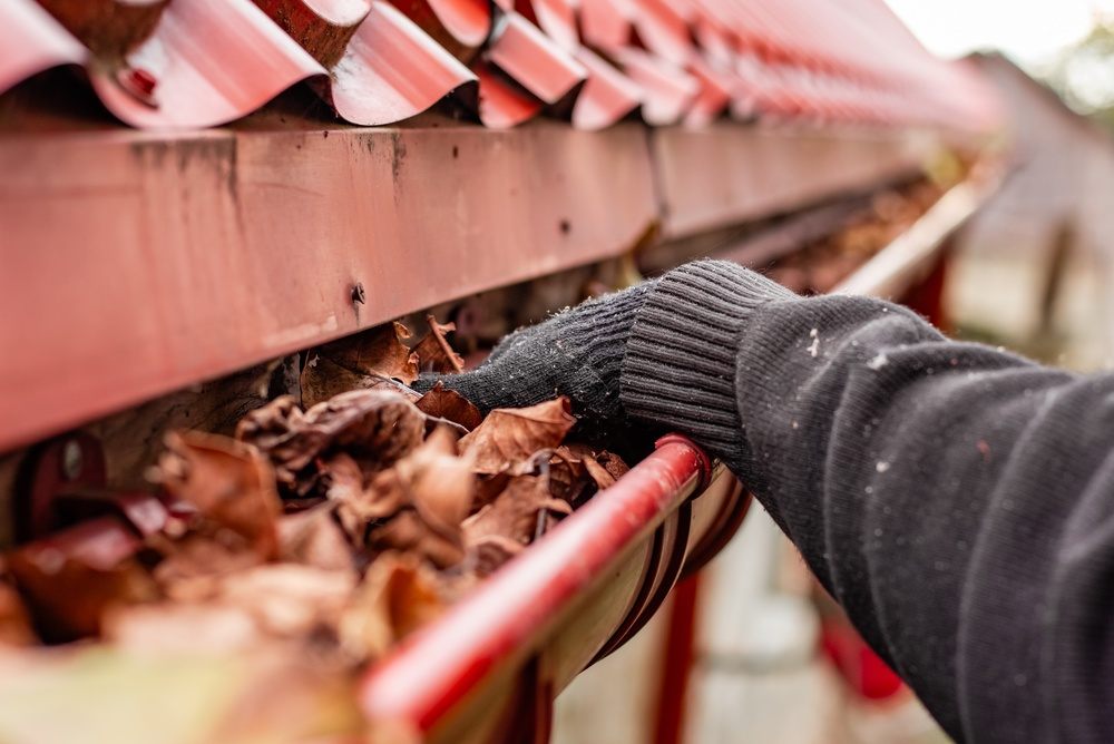 6 Signs Your Gutters Need Cleaning in Mississauga. A gloved hand reaches into a roof gutter filled with autumn leaves. gutter cleaning, roof maintenance, fall chore. Autumn.