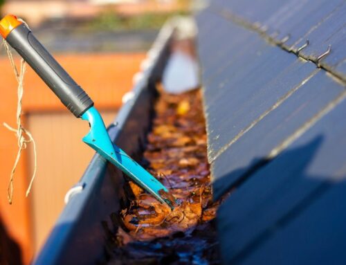 Top Reasons to Choose Local Gutter Cleaning Services in Mississauga