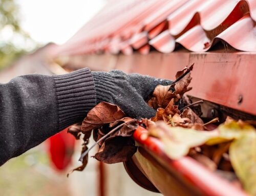 The Local Guide to Choosing the Best Gutter Cleaning Service in Oakville