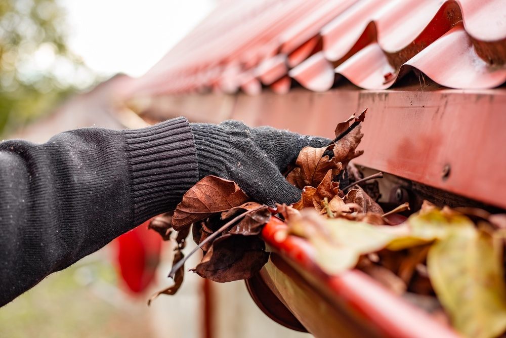 The Local Guide to Choosing the Best Gutter Cleaning Service in Oakville. A hand in a glove pulls a bunch of dry leaves from a metal roof gutter. gutter cleaning, home repair, autumn maintenance. Autumn.