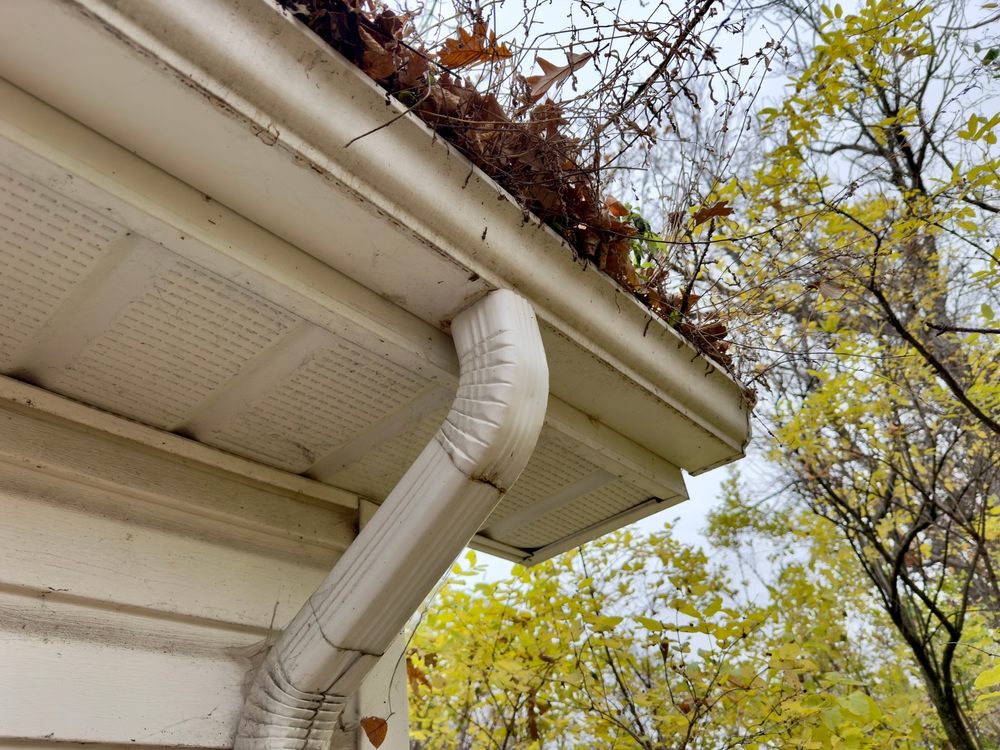 Top Local Challenges for Window Cleaning in Oakville & How to Prepare Your Home. clogged drain with dry leaves.