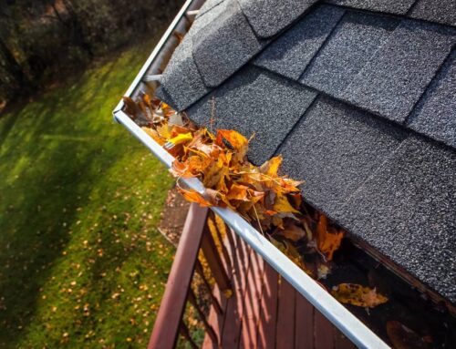 How to Maintain Your Gutters Year-Round to Prevent Costly Repairs