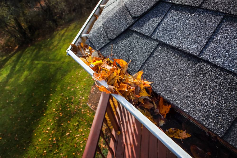 How to Maintain Your Gutters Year-Round to Prevent Costly Repairs. Autumn leaves clogging a rain gutter on a roof.